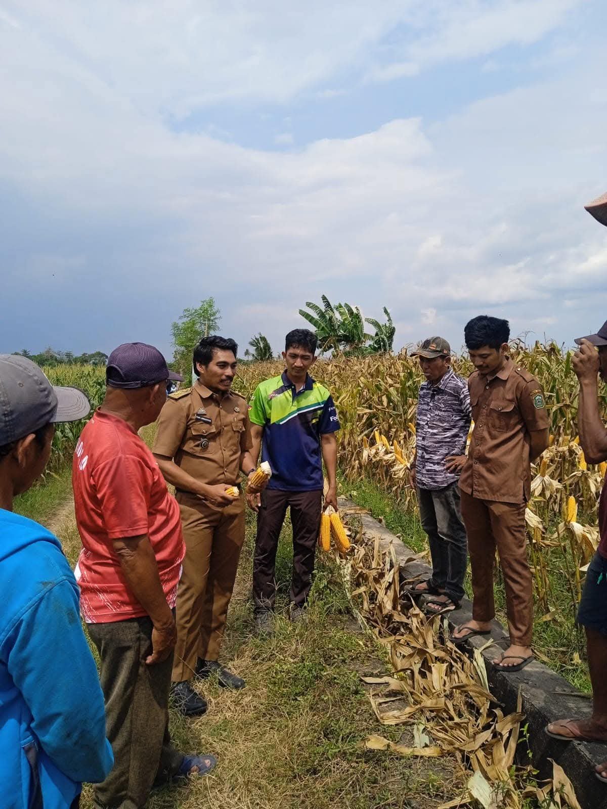 Bantuan Bibit Jagung bagi Petani Desa Galesong Timur Tahun Anggaran 2025